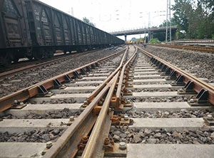 Huhan line railroad frogs