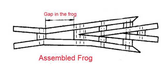gap in the frog