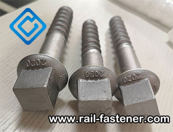 coachscrews